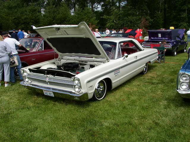 P1010145.JPG